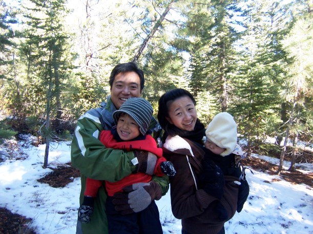 2nd annual xmas tree search